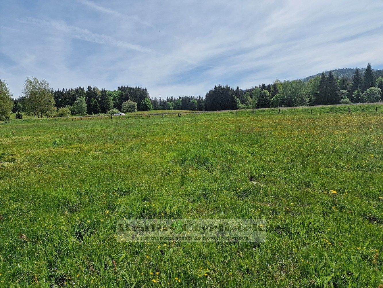 Prodej pozemku 33610 m² - foto 3