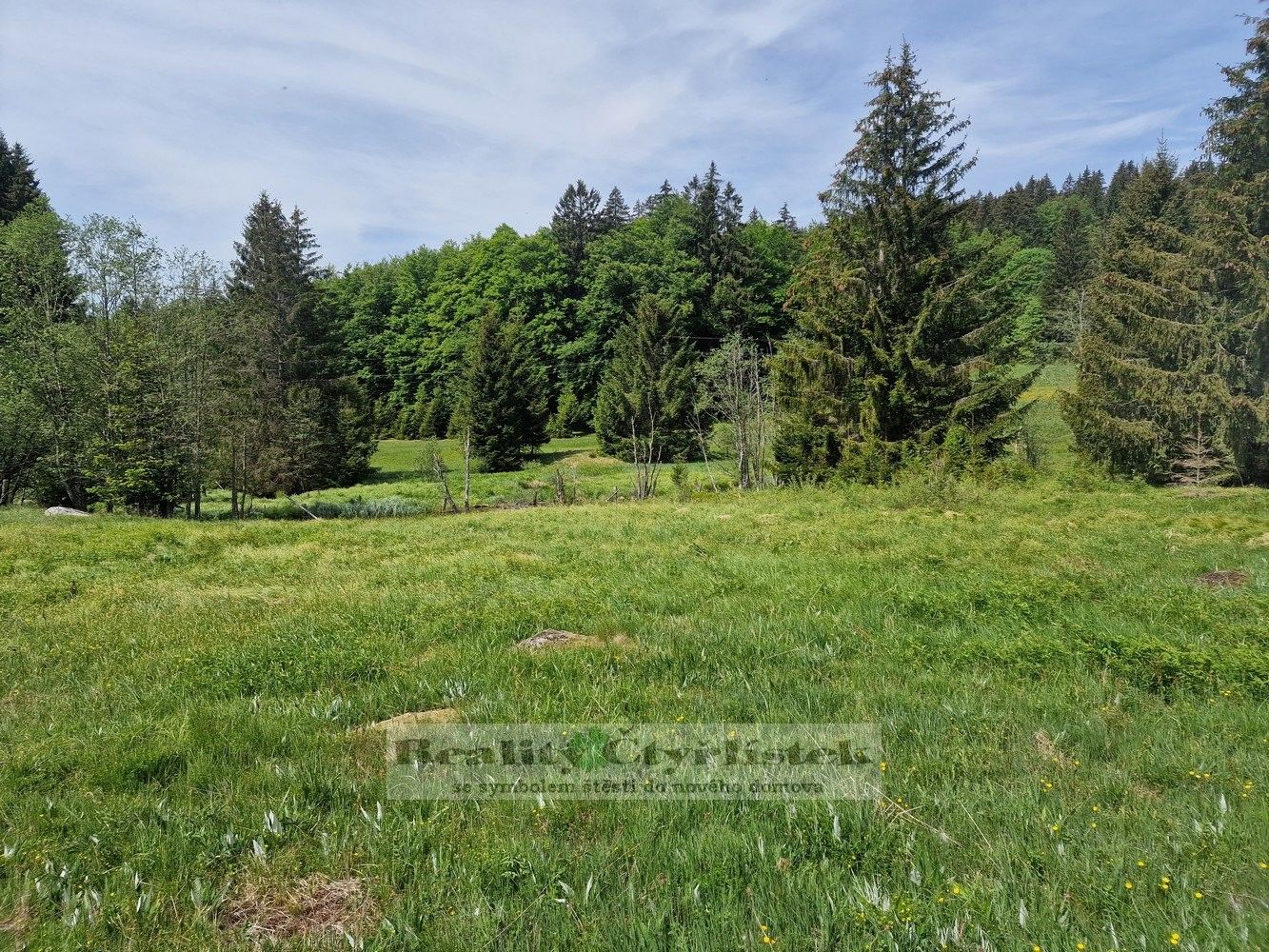 Prodej pozemku 33610 m² - foto 5