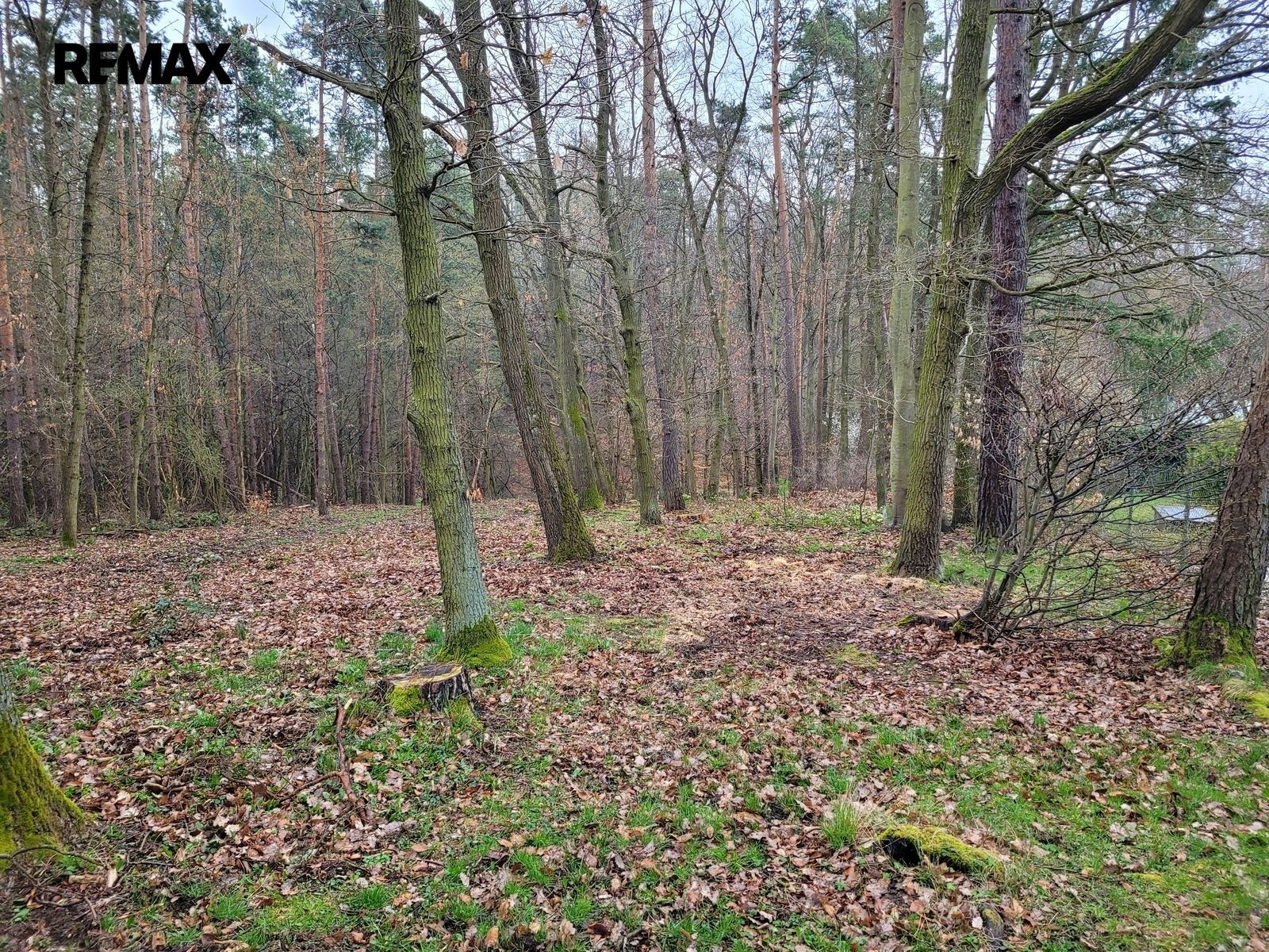 Prodej pozemku 1246 m² - foto 6