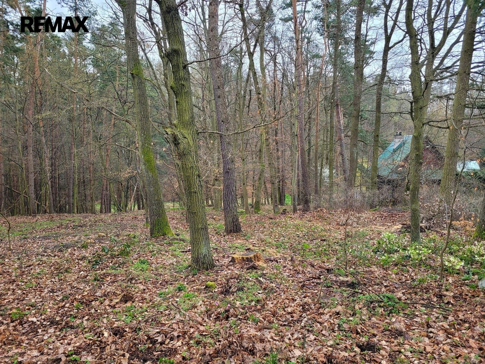 Prodej pozemku 1246 m² - foto 9
