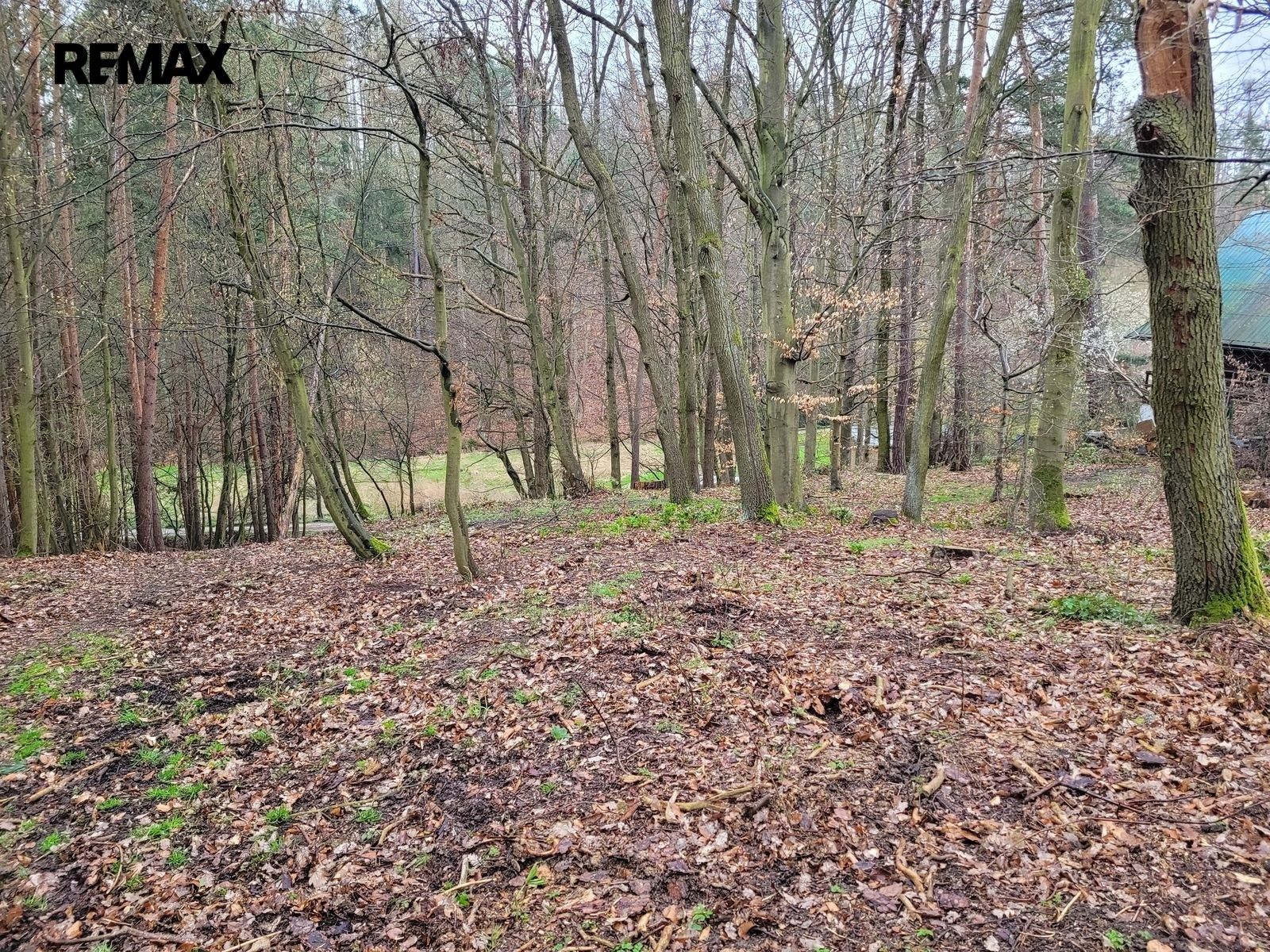 Prodej pozemku 1246 m² - foto 10