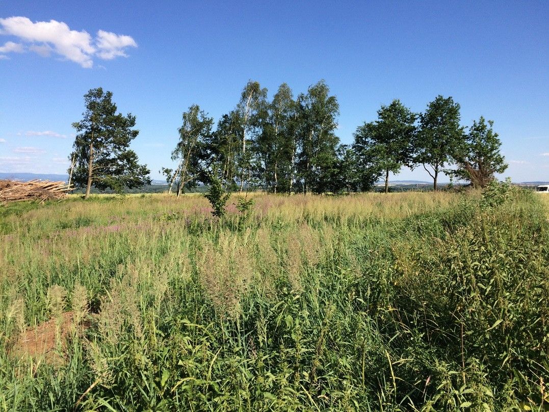 Pronájem pozemku 2200 m² - foto 2