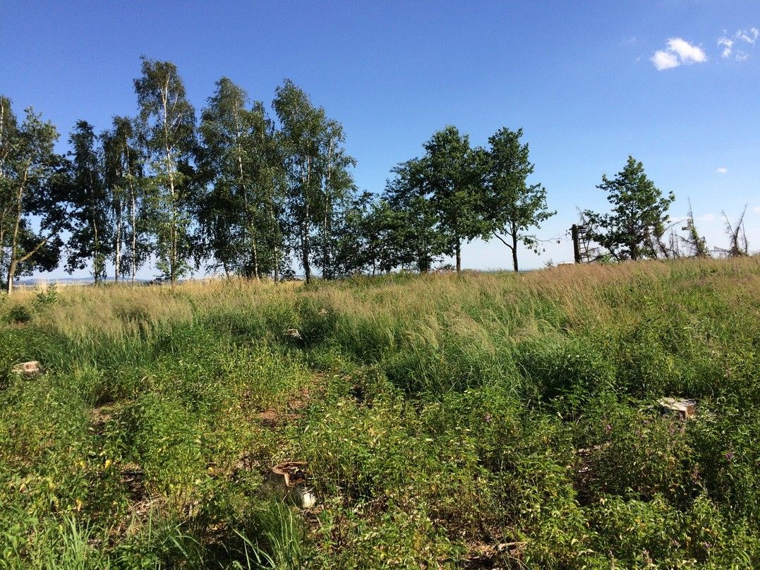 Pronájem pozemku 2200 m² - foto 4