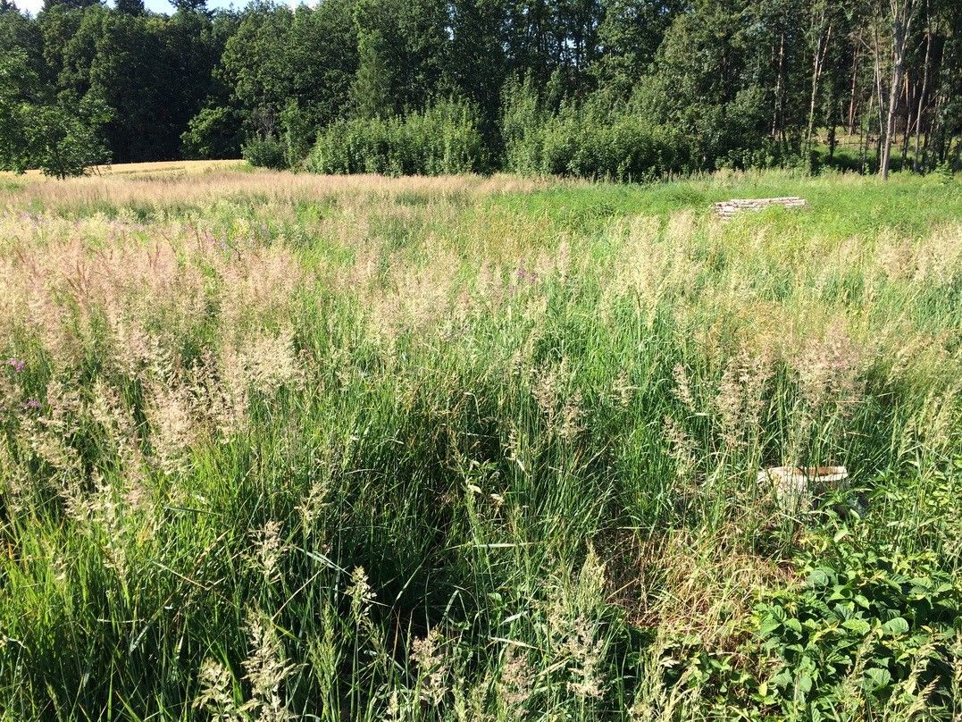 Pronájem pozemku 2200 m² - foto 3