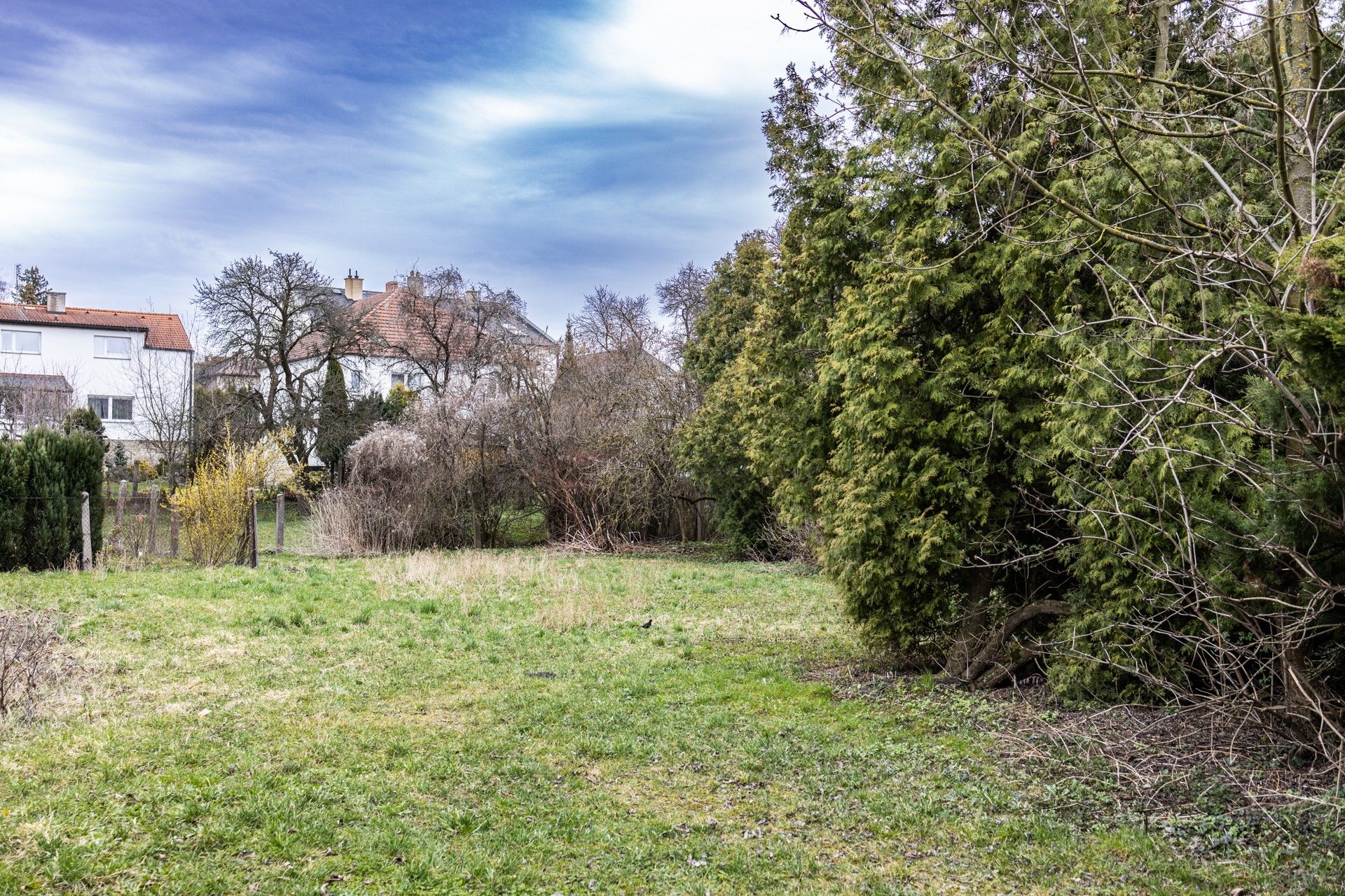 Prodej komerčního prostoru 1000 m² - foto 17