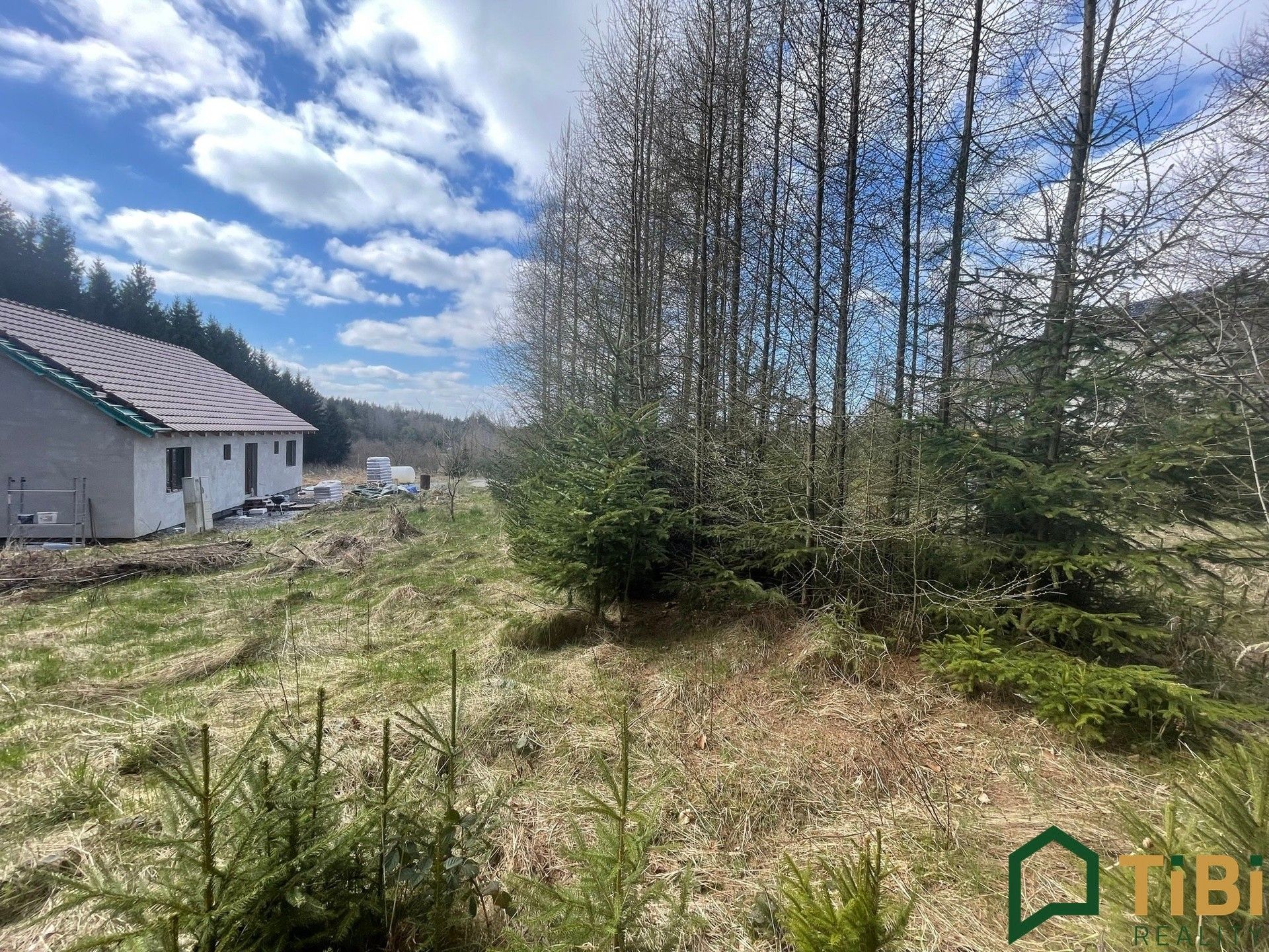 Prodej pozemku 1753 m² - foto 3