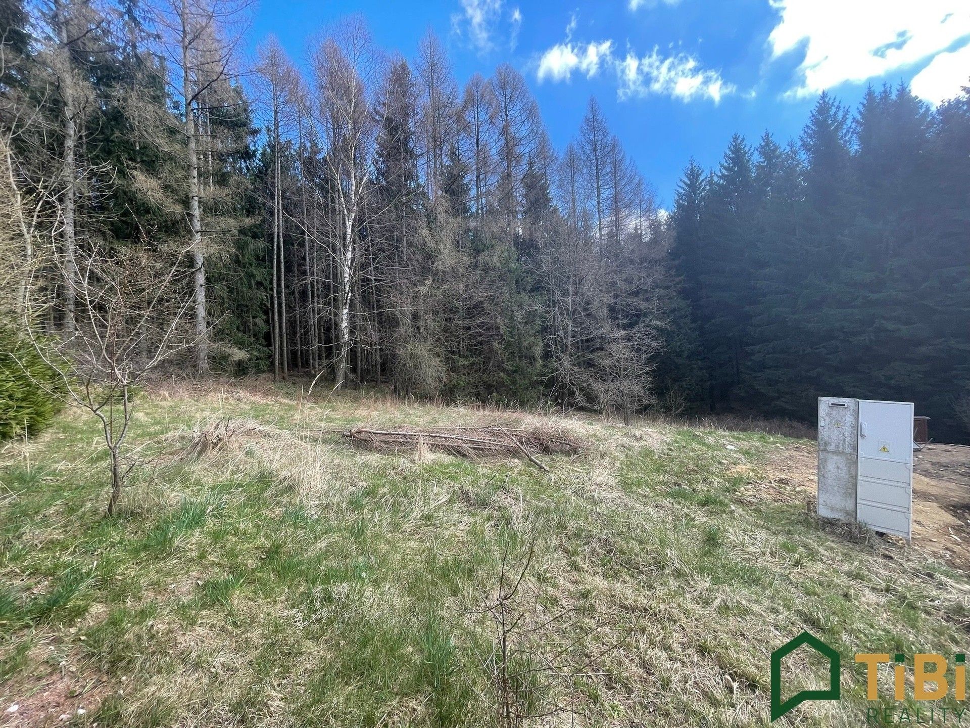 Prodej pozemku 1753 m² - foto 2