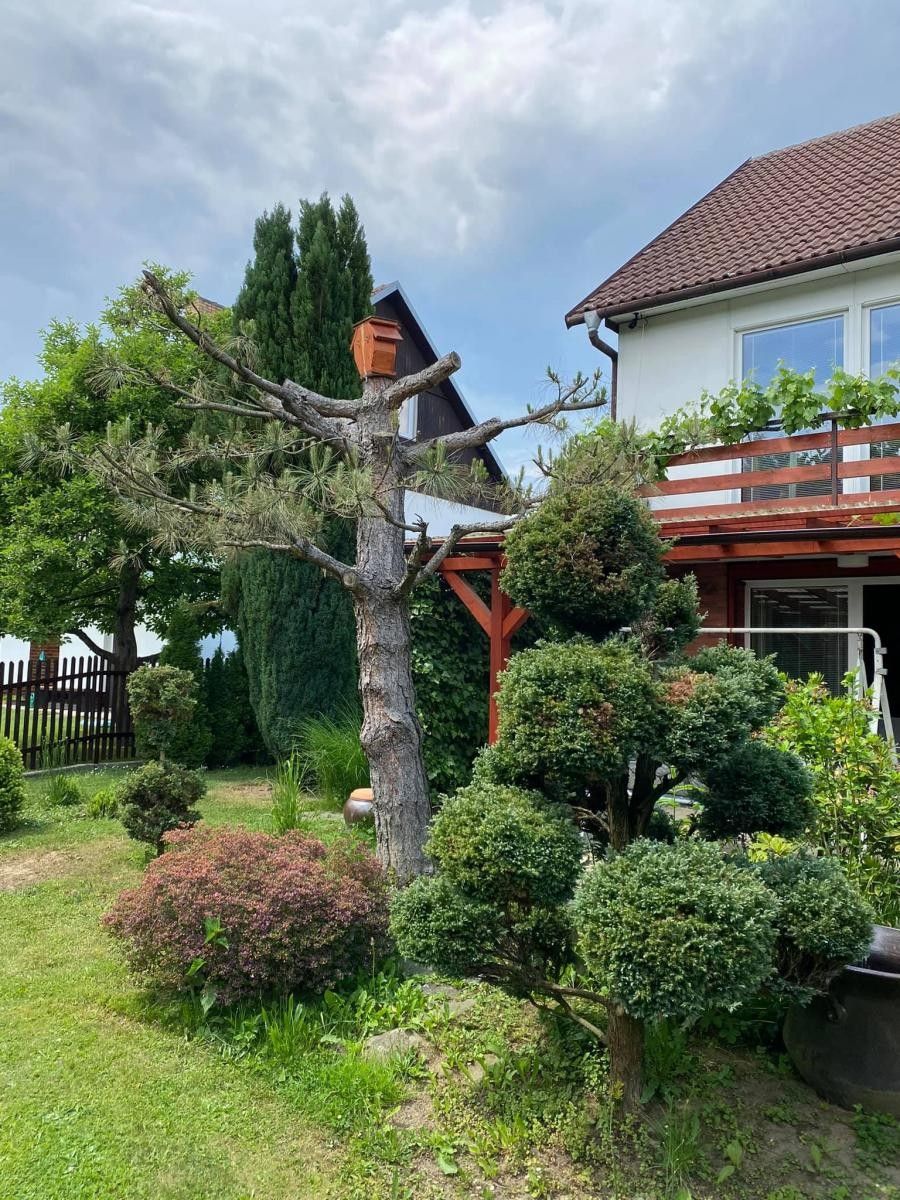 Pronájem domu 160 m² - foto 5
