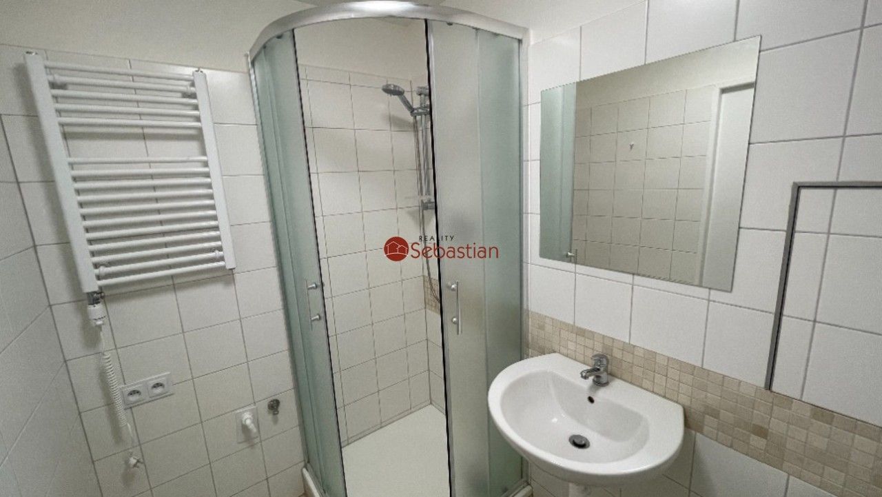 Pronájem bytu 1+1 41 m² - foto 5