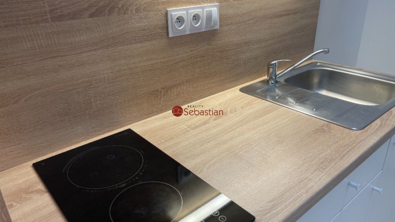 Pronájem bytu 1+1 41 m² - foto 3
