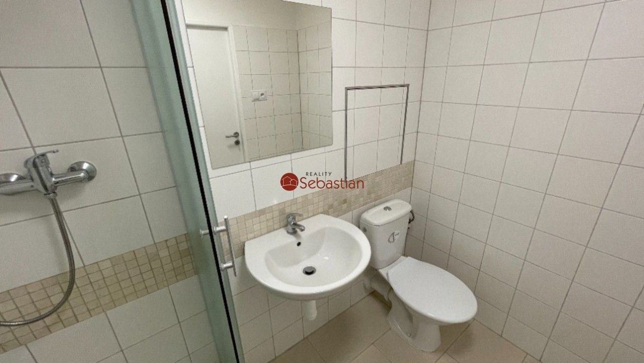Pronájem bytu 1+1 41 m² - foto 7