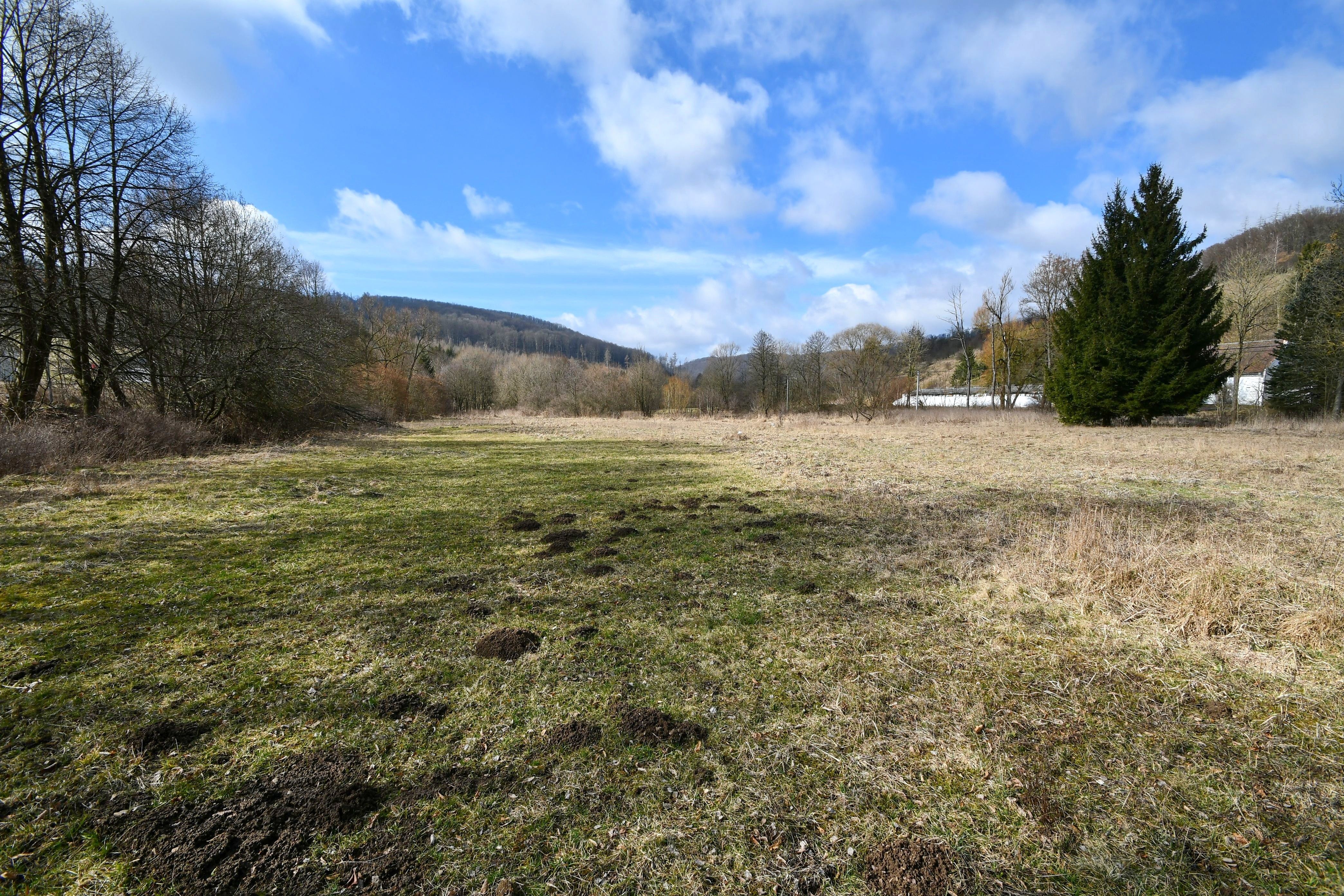 Prodej komerčního prostoru 1415 m² - foto 20
