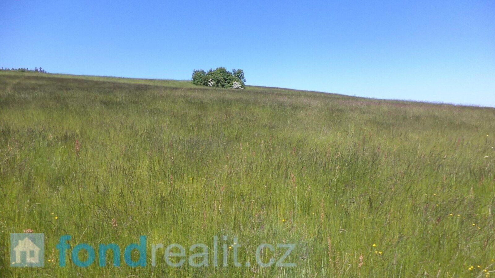 Prodej pozemku 50580 m² - foto 10