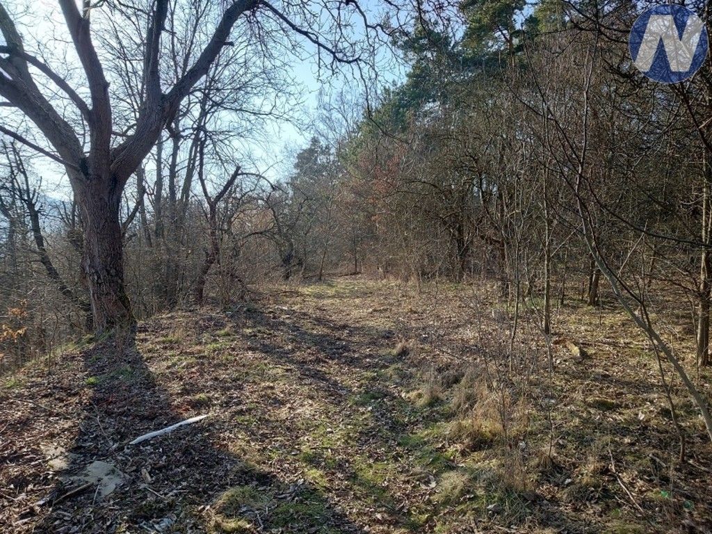 Prodej nemovitosti 1999 m² - foto 5