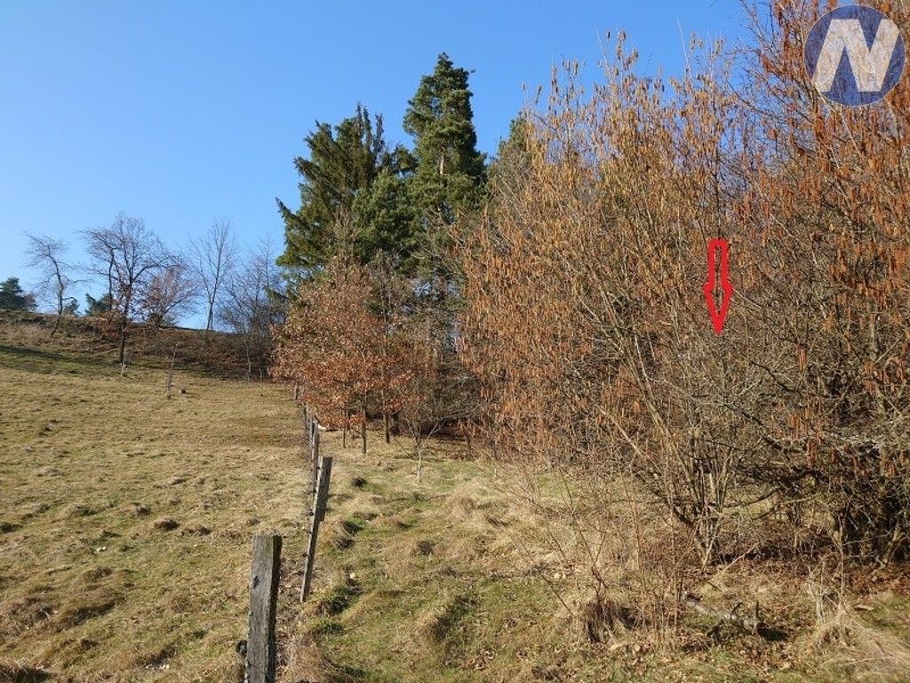Prodej nemovitosti 1999 m² - foto 7