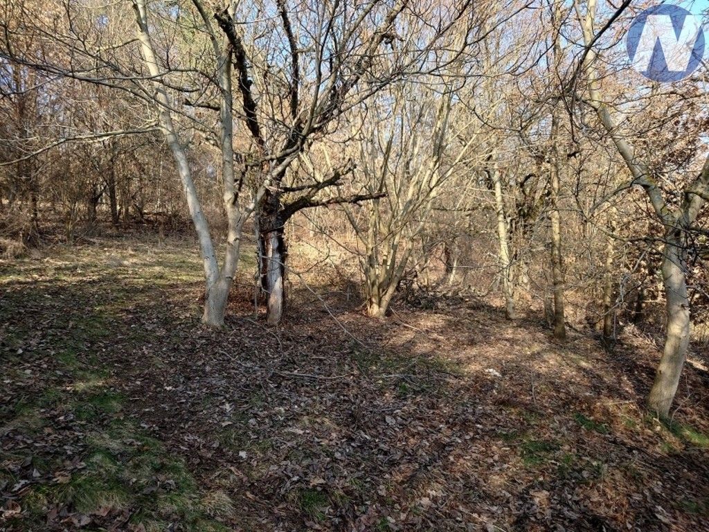 Prodej nemovitosti 1999 m² - foto 6