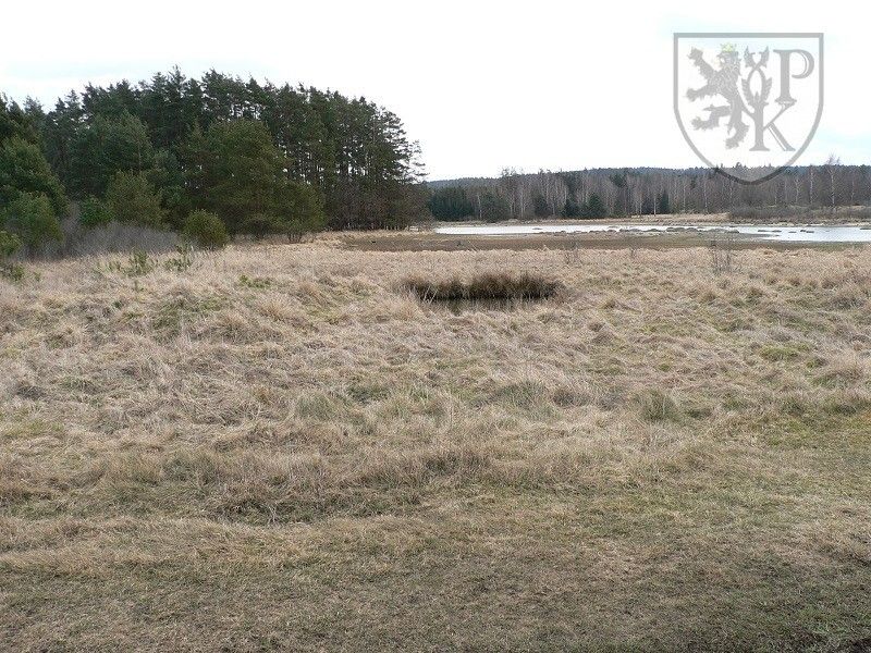 Prodej nemovitosti 28197 m² - foto 11