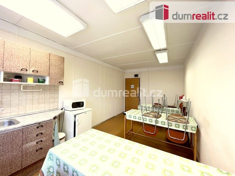 Pronájem komerčního prostoru 913 m² - foto 10