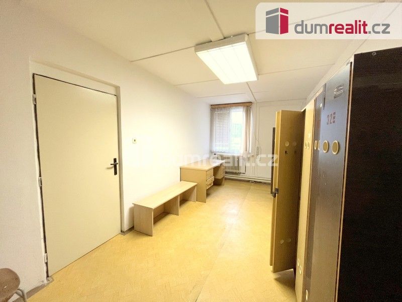 Pronájem komerčního prostoru 913 m² - foto 11