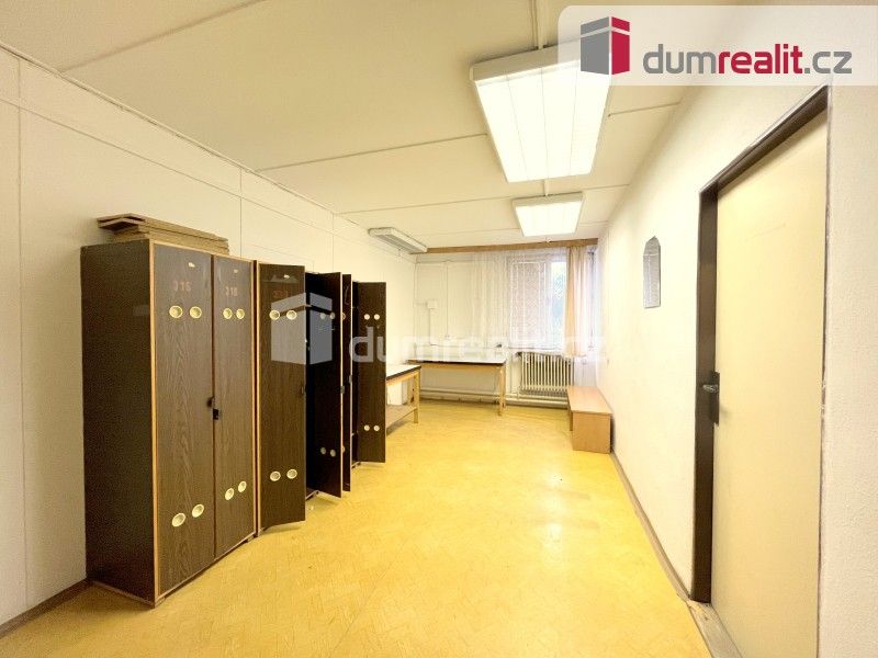 Pronájem komerčního prostoru 913 m² - foto 12