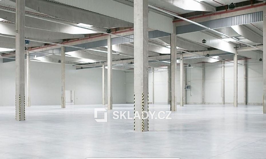Pronájem komerčního prostoru 8700 m² - foto 3
