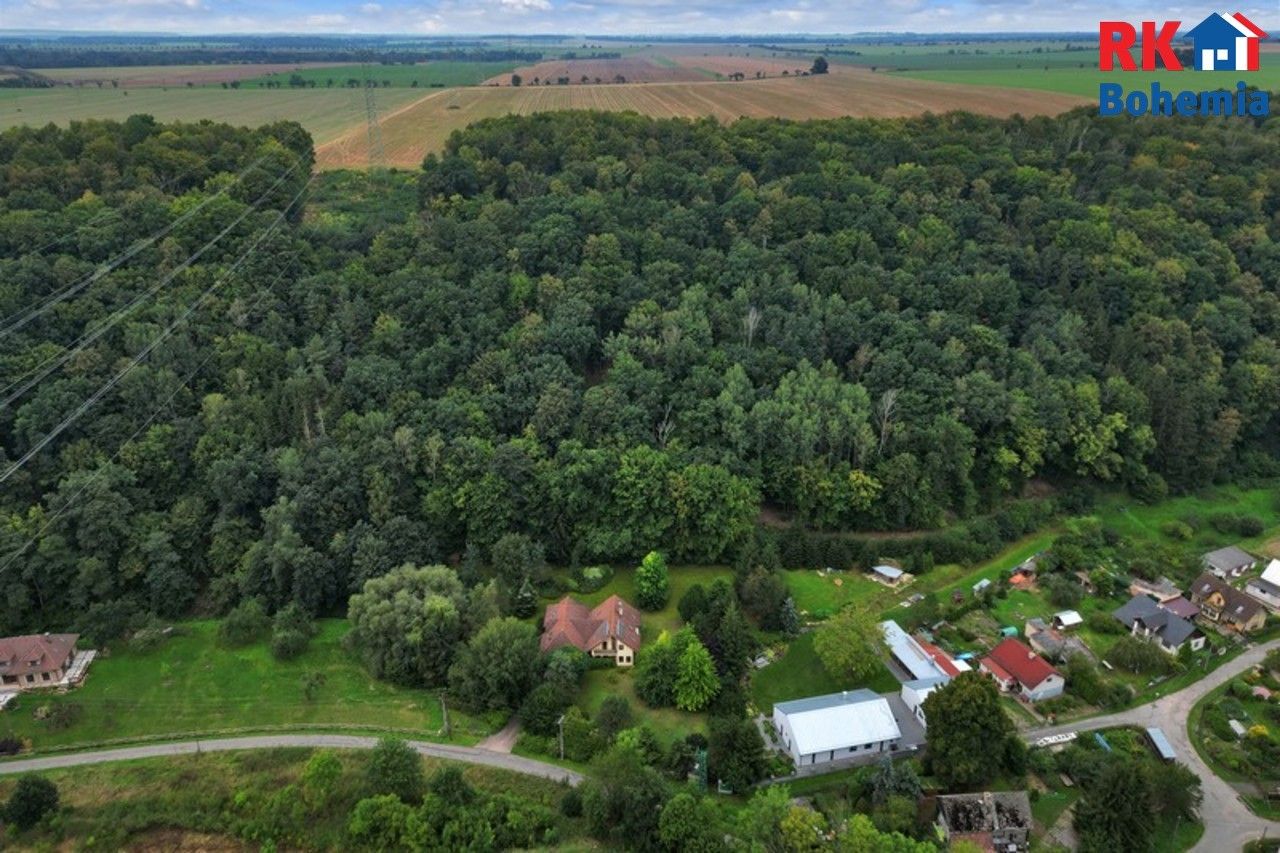 Prodej domu 400 m² - foto 7
