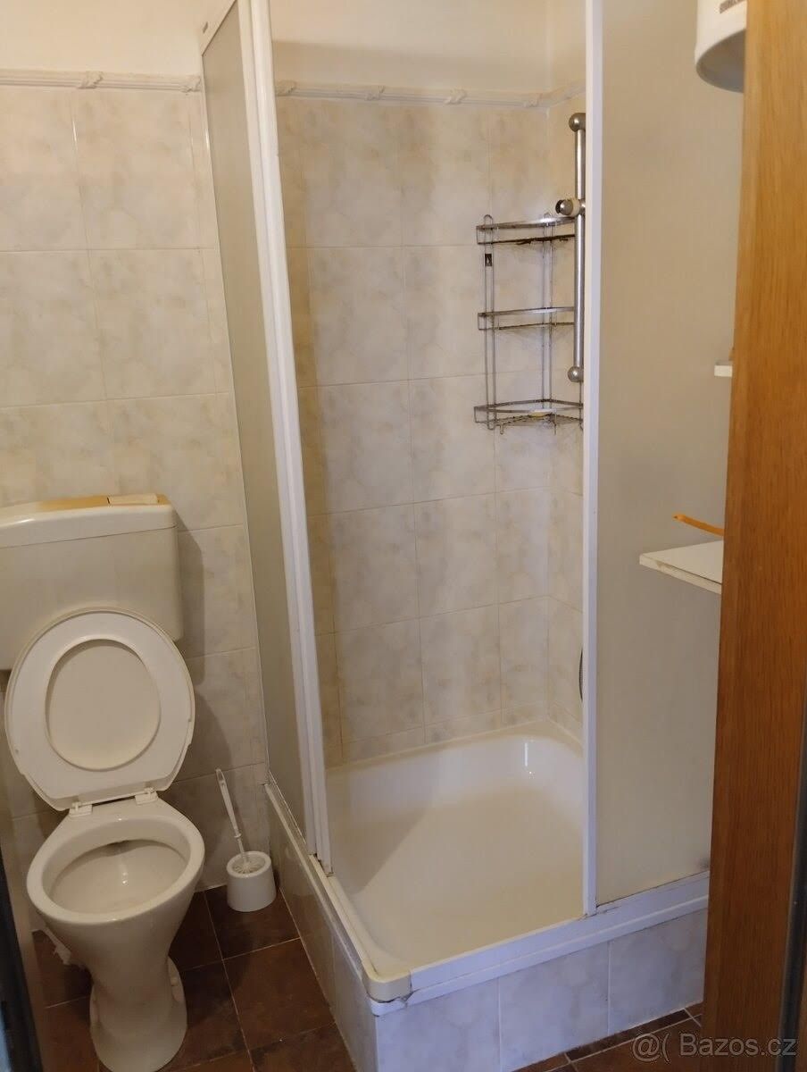 Pronájem bytu 1+1 40 m² - foto 5