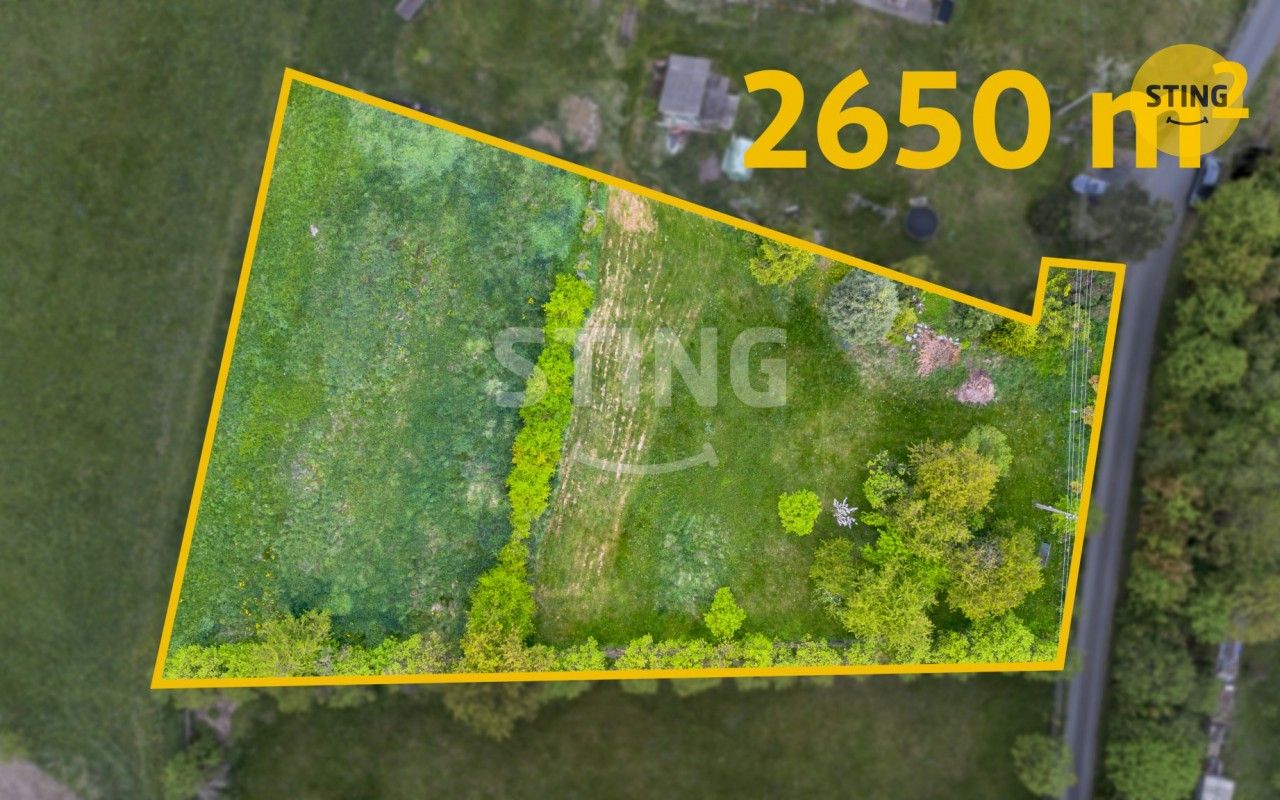 Prodej pozemku 2650 m² - foto 2