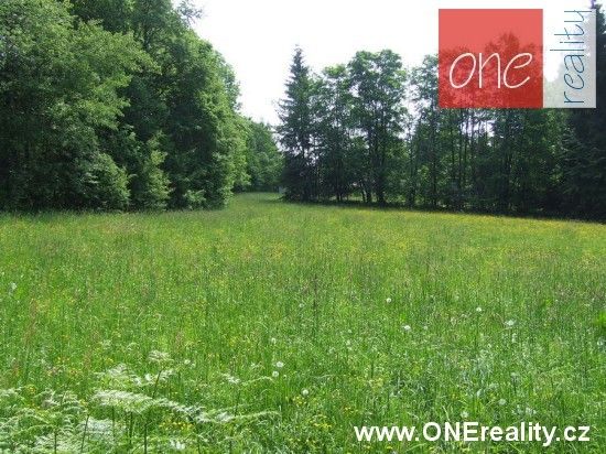 Pronájem pozemku 1000 m² - foto 3
