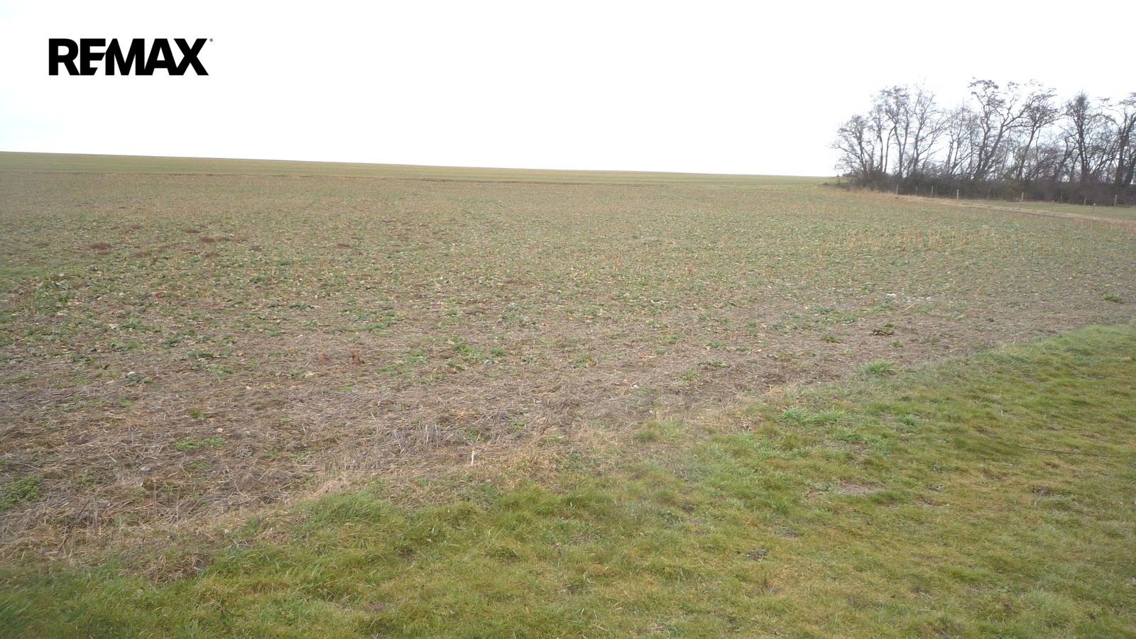 Prodej pozemku 895 m² - foto 8