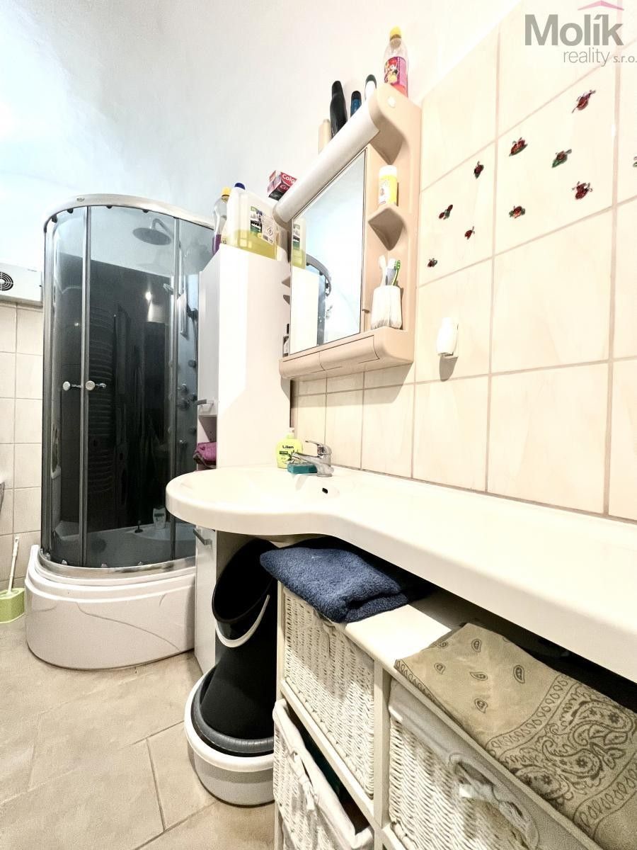 Prodej nemovitosti 200 m² - foto 34