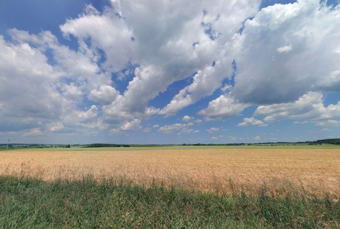 Prodej pozemku 17261 m² - foto 1