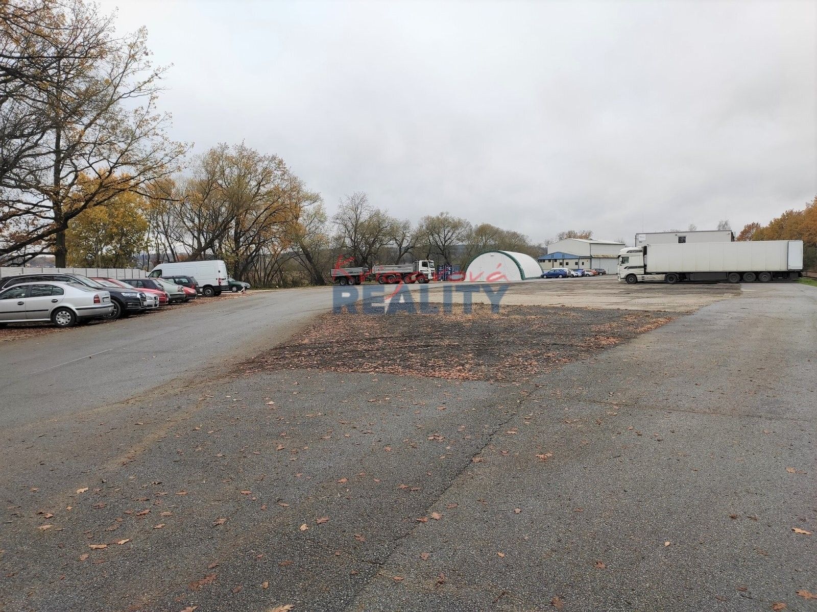 Pronájem nemovitosti 500 m² - foto 6