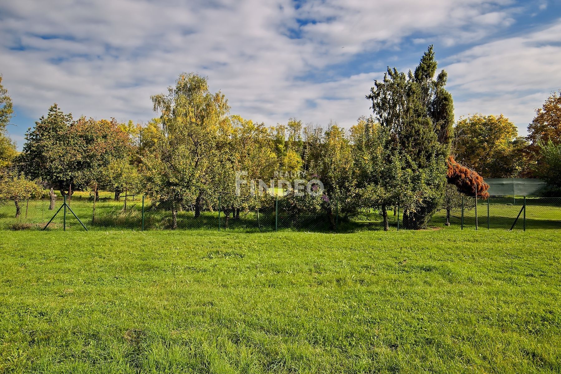 Prodej pozemku 1936 m² - foto 4