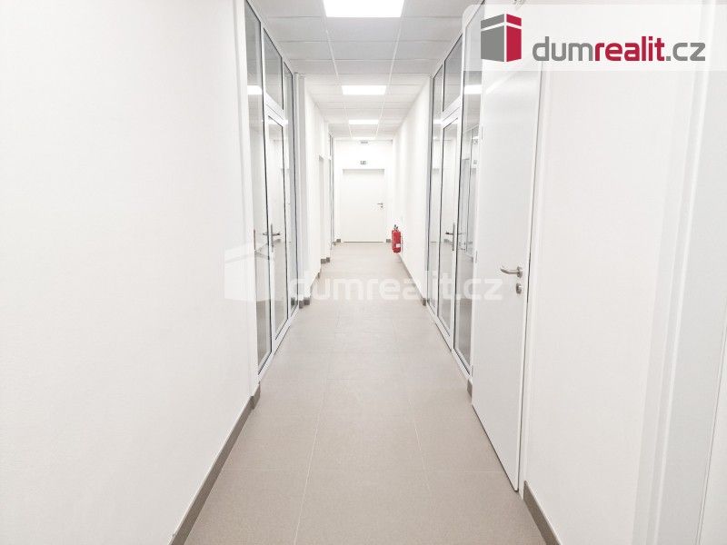 Pronájem nemovitosti 40 m² - foto 4