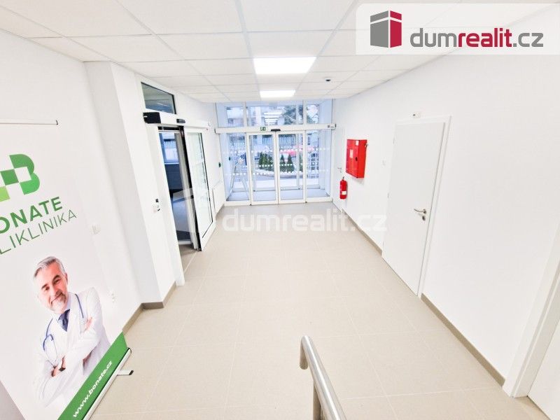 Pronájem nemovitosti 40 m² - foto 12