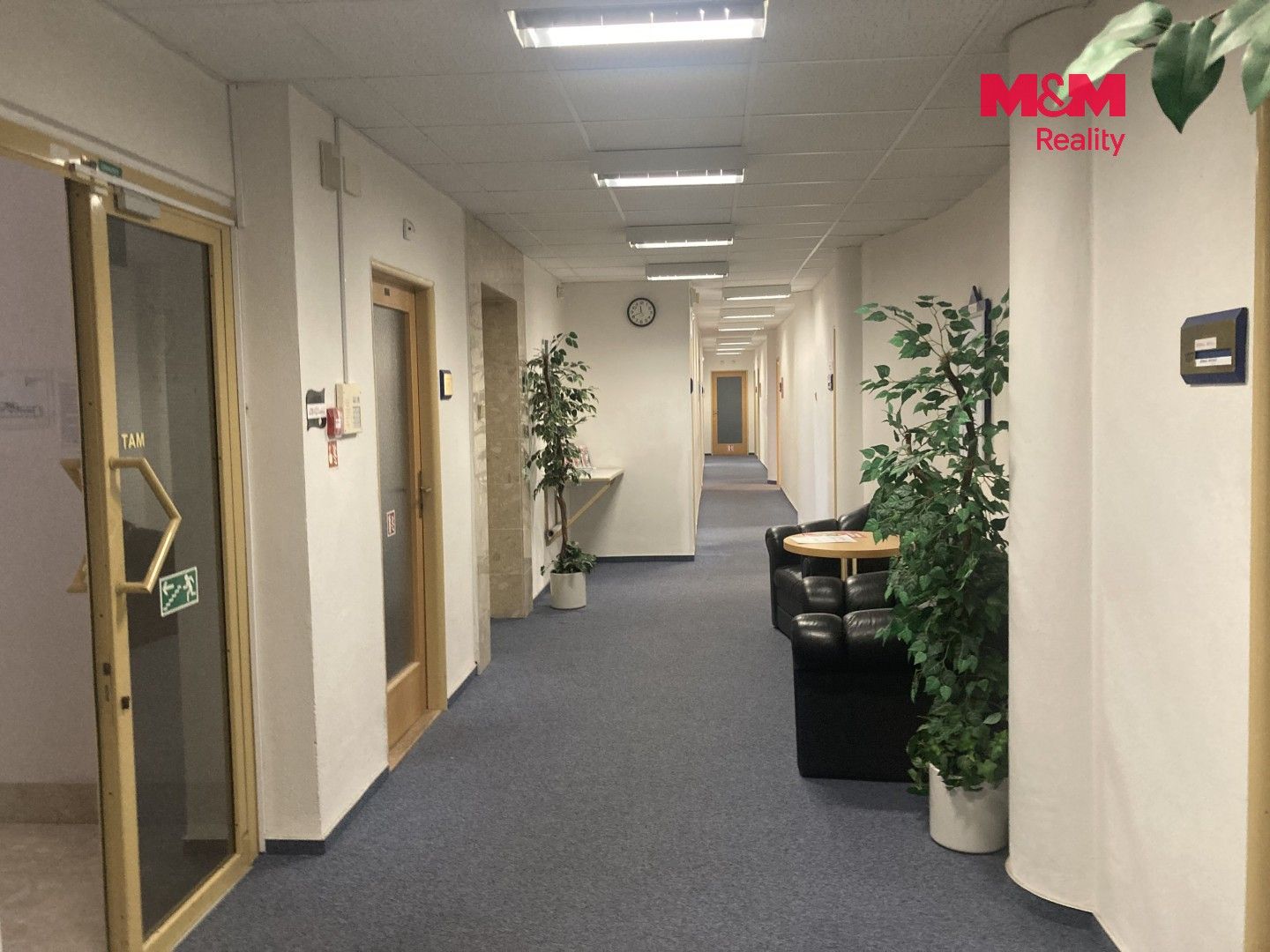 Pronájem komerčního prostoru 18 m² - foto 7