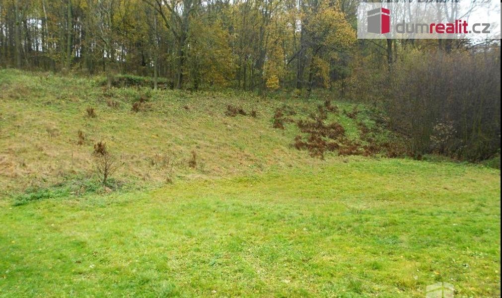 Prodej pozemku 10000 m² - foto 2