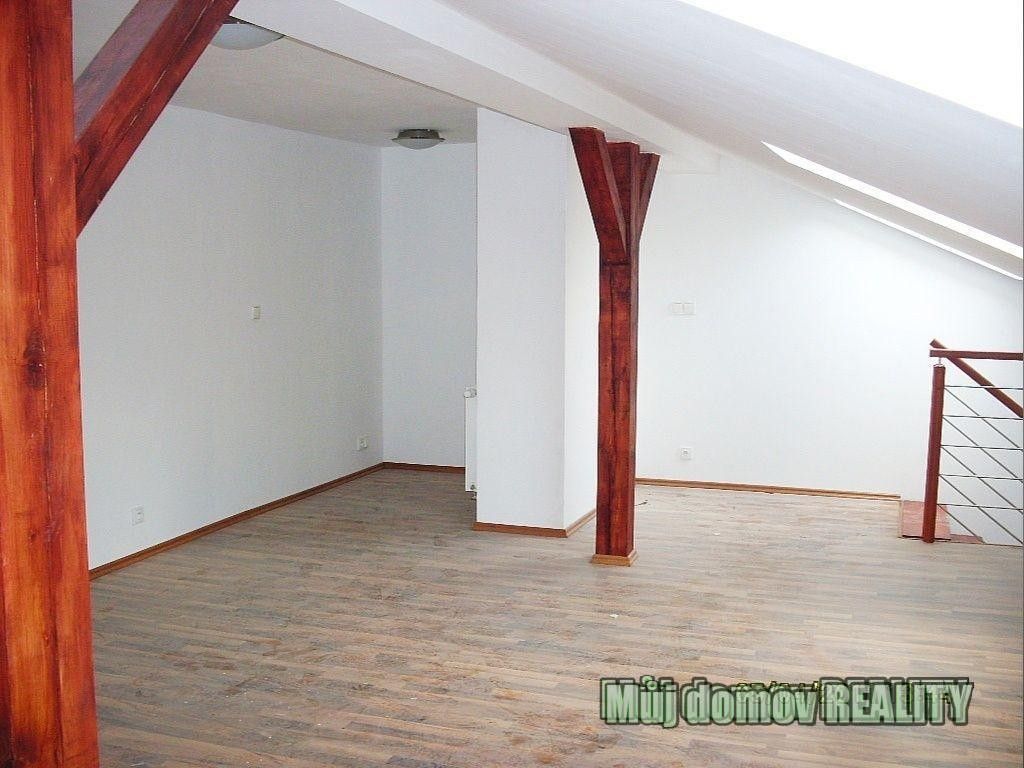 Pronájem bytu 1+kk 45 m² - foto 4