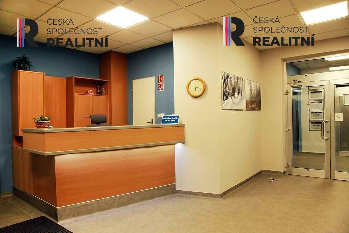 Pronájem komerčního prostoru 19 m² - foto 8