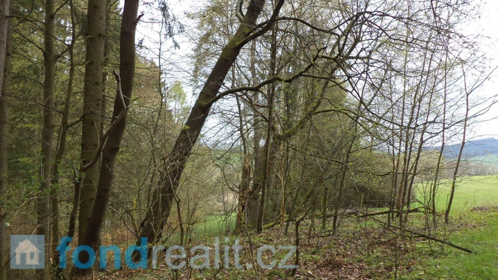 Prodej pozemku 1208 m² - foto 1