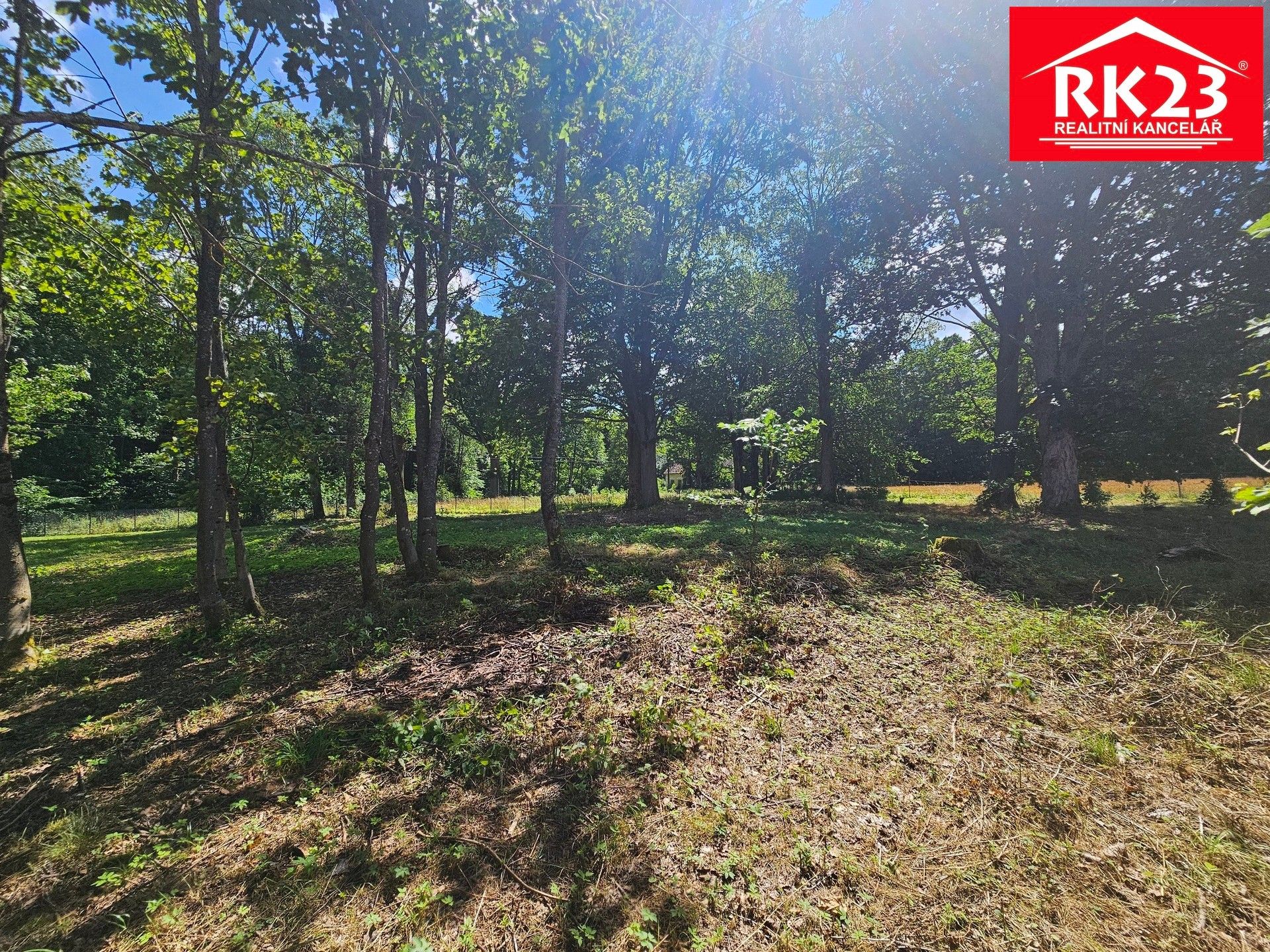 Prodej pozemku 2874 m² - foto 10