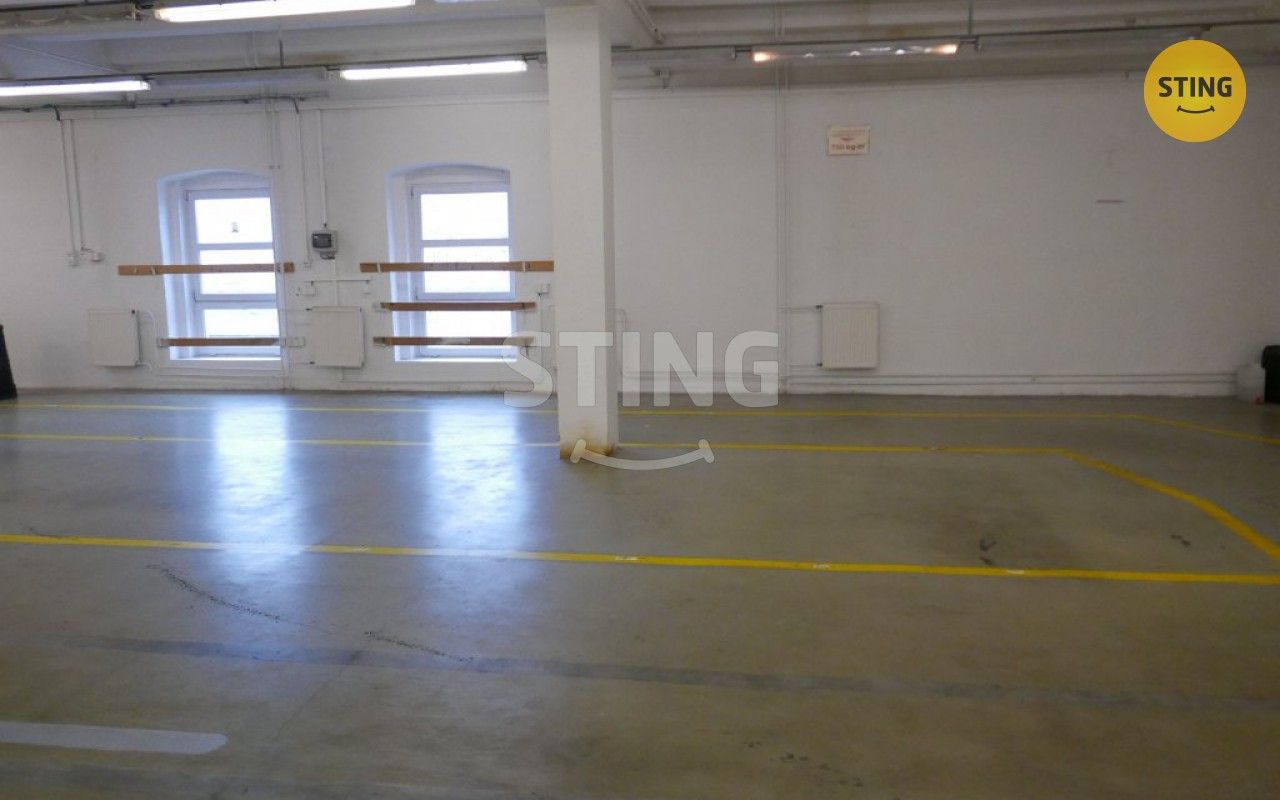 Pronájem komerčního prostoru 694 m² - foto 8