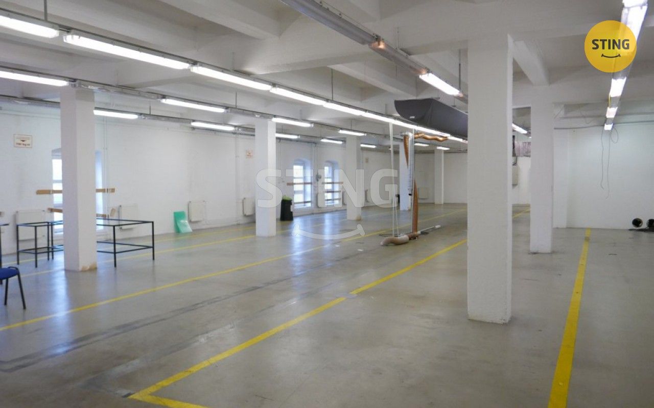 Pronájem komerčního prostoru 694 m² - foto 9