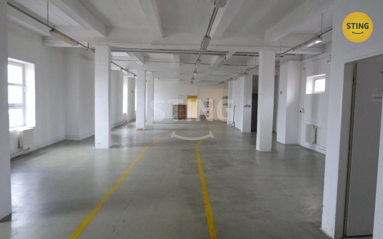 Pronájem komerčního prostoru 694 m² - foto 10
