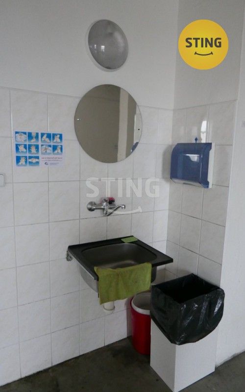 Pronájem komerčního prostoru 694 m² - foto 14