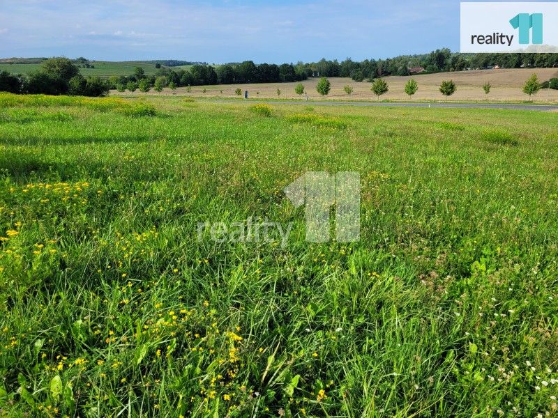 Prodej pozemku 1207 m² - foto 10