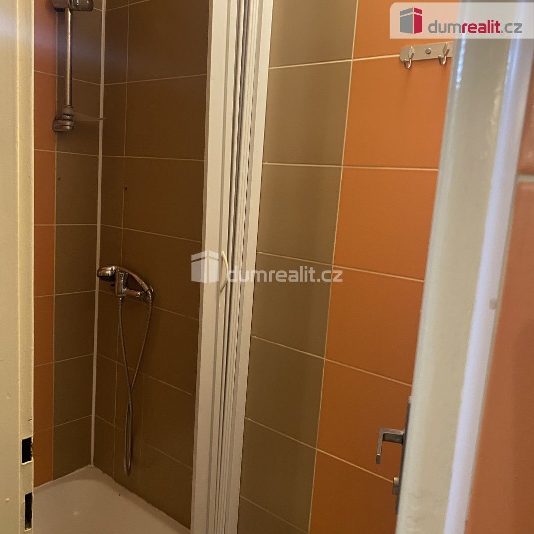 Pronájem bytu 1+kk 19 m² - foto 8