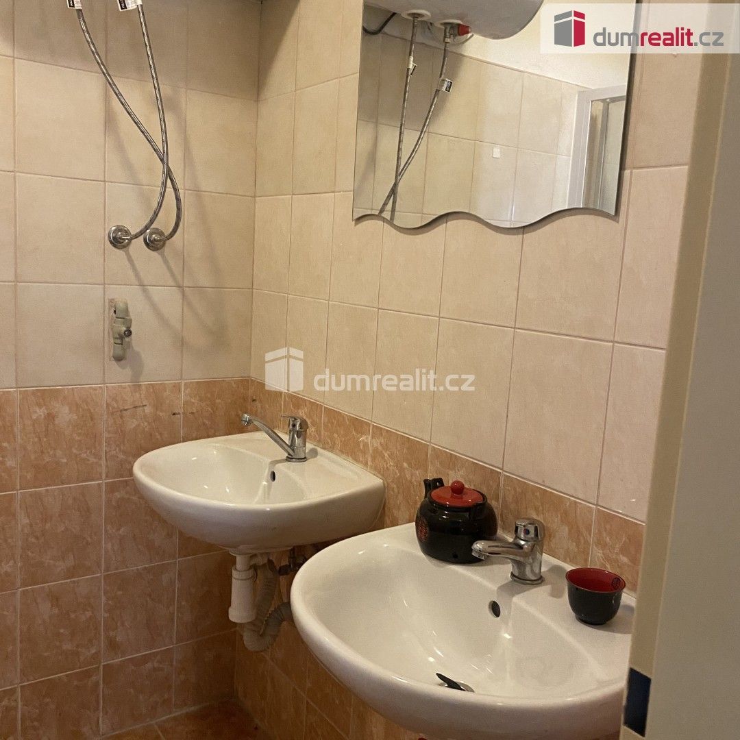 Pronájem bytu 1+kk 19 m² - foto 11