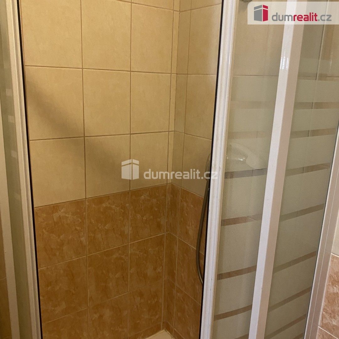 Pronájem bytu 1+kk 19 m² - foto 12